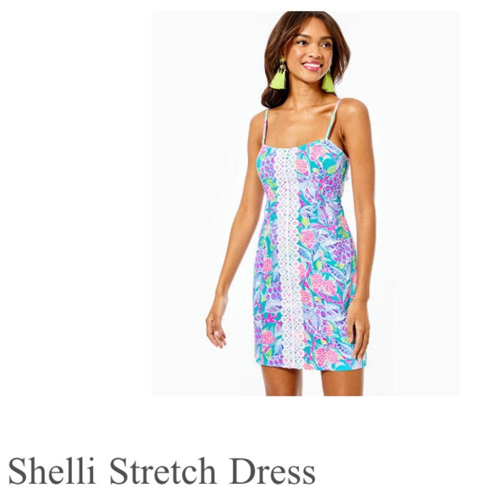 Lilly Pulitzer Shelli Stretch Dress size 00